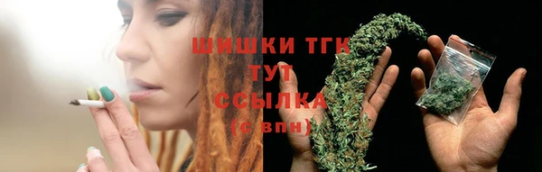 ешки Белокуриха