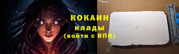 ешки Белокуриха